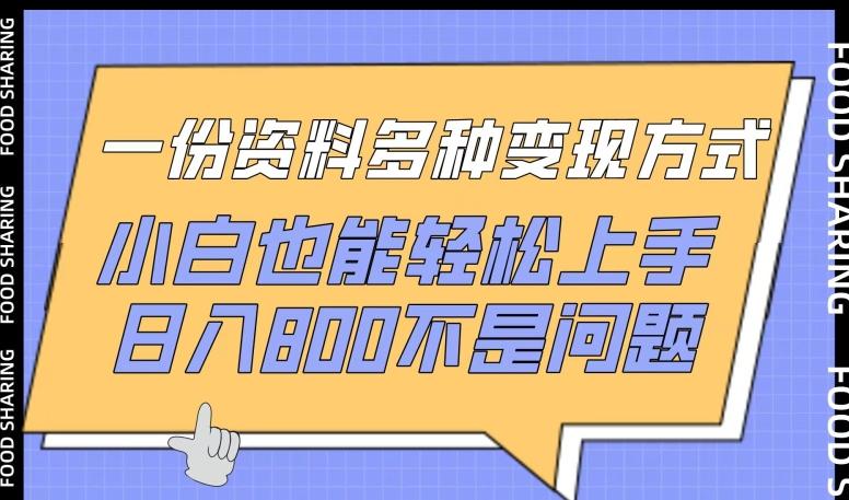 一份资料多种变现方式，小白也能轻松上手，日入800不是问题【揭秘】-金腾创业