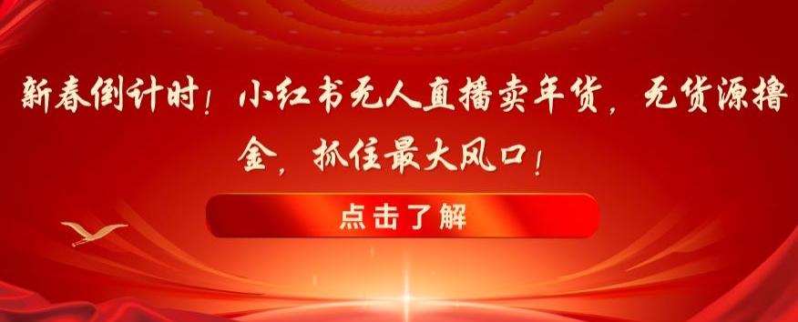 新春倒计时！小红书无人直播卖年货，无货源撸金，抓住最大风口【揭秘】-金腾创业