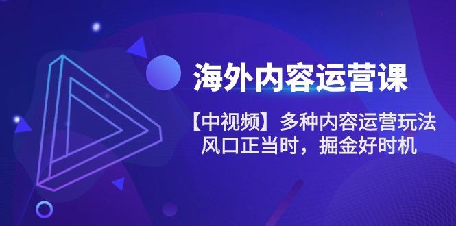 海外内容 运营课【中视频】多种内容运营玩法 风口正当时 掘金好时机-101节-金腾创业