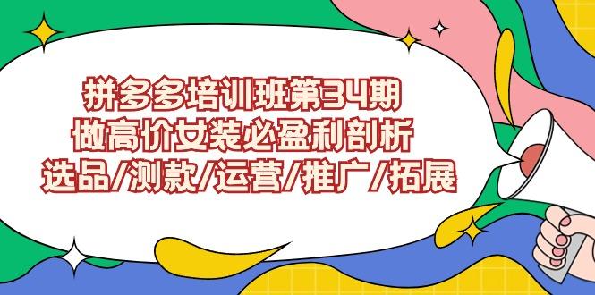 (9333期)拼多多培训班第34期：做高价女装必盈利剖析  选品/测款/运营/推广/拓展-金腾创业