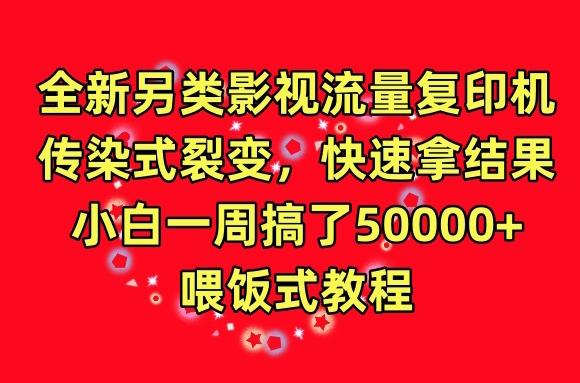全新另类影视流量复印机，传染式裂变，快速拿结果，小白一周搞了50000+，喂饭式教程【揭秘】-金腾创业