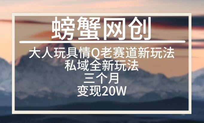 大人玩具情Q用品赛道私域全新玩法，三个月变现20W，老项目新思路【揭秘】-金腾创业