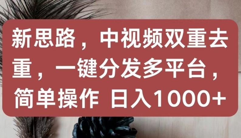 新思路，中视频双重去重，一键分发多平台，简单操作，日入1000+【揭秘】-金腾创业