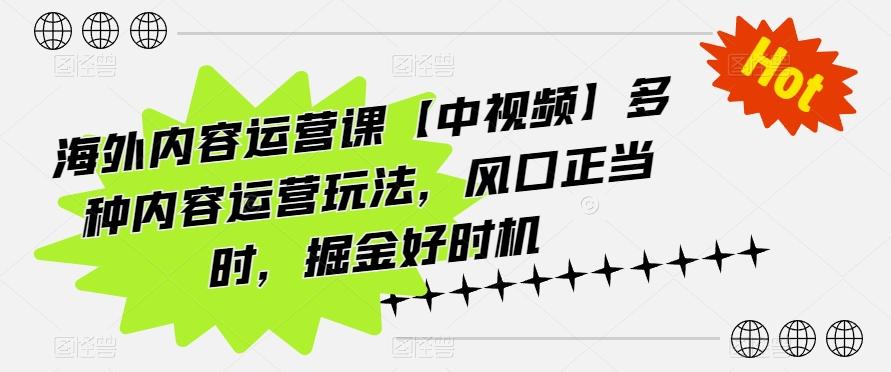 海外内容运营课【中视频】多种内容运营玩法，风口正当时，掘金好时机-金腾创业