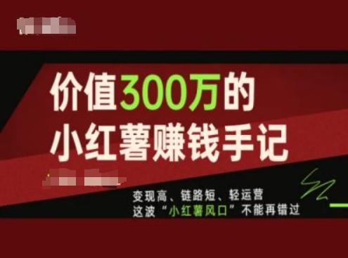 价值300万的小红书赚钱手记，变现高、链路短、轻运营，这波“小红薯风口”不能再错过-金腾创业