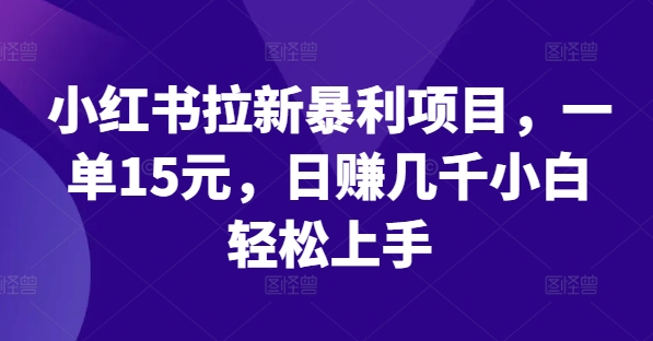 小红书拉新暴利项目，一单15元，日赚几千小白轻松上手【揭秘】-金腾创业