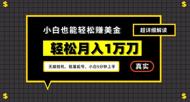 谷歌看广告撸美金2.0，无脑挂机，多号操作，月入1万刀【揭秘】-金腾创业