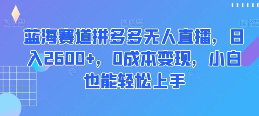 蓝海赛道拼多多无人直播，日入2600+，0成本变现，小白也能轻松上手【揭秘】-金腾创业