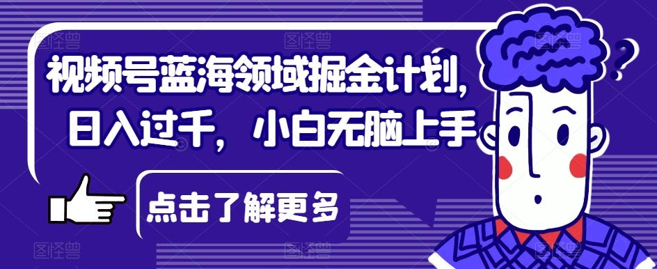 视频号蓝海领域掘金计划，日入过千，小白无脑上手【揭秘】-金腾创业