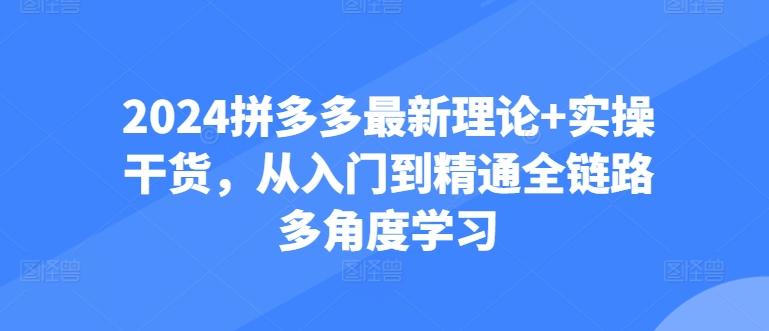 2024拼多多最新理论+实操干货，从入门到精通全链路多角度学习-金腾创业