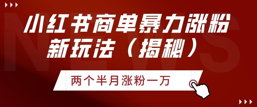 小红书商单暴力涨粉新玩法两个半月涨粉一万（揭秘）-金腾创业