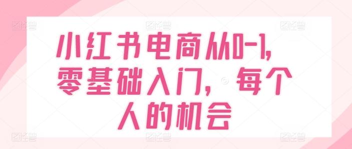 小红书电商从0-1，零基础入门，每个人的机会-金腾创业