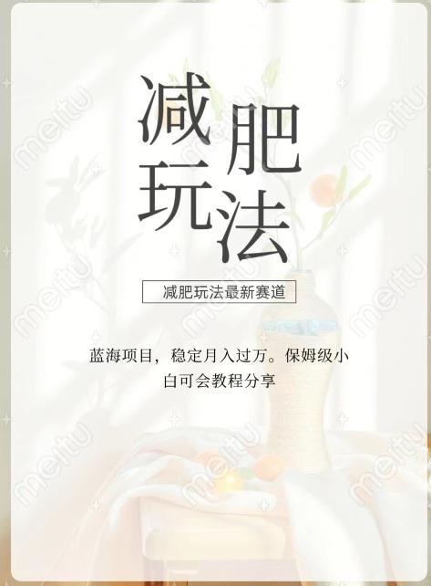 减肥流量主新玩法，轻松月入1W，可矩阵操作收入翻倍-金腾创业
