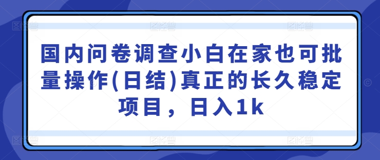 国内问卷调查小白在家也可批量操作(日结)真正的长久稳定项目，日入1k【揭秘】-金腾创业