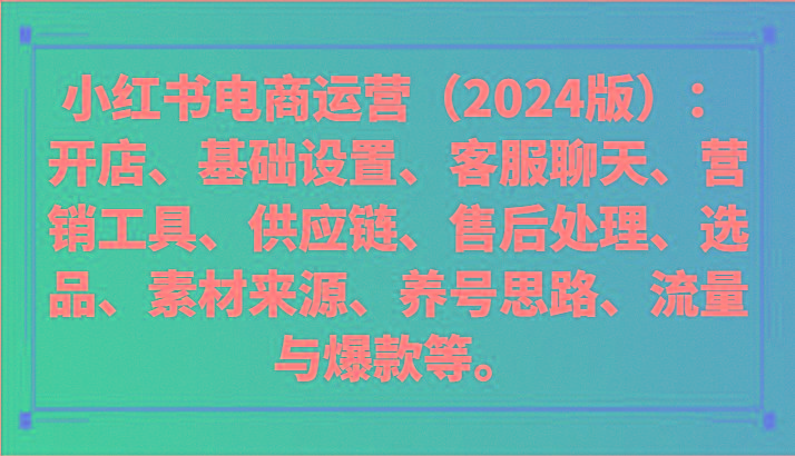 小红书电商运营(2024版)：开店、设置、供应链、选品、素材、养号、流量与爆款等-金腾创业