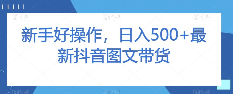 新手好操作，日入500+最新抖音图文带货【揭秘】-金腾创业