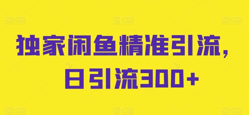 独家闲鱼精准引流，日引流300+【揭秘】-金腾创业