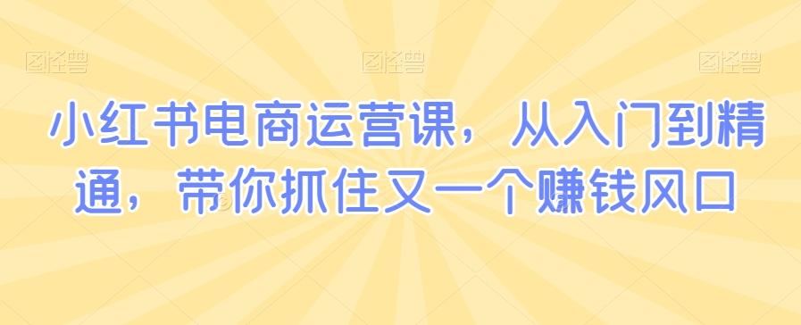 小红书电商运营课，从入门到精通，带你抓住又一个赚钱风口-金腾创业