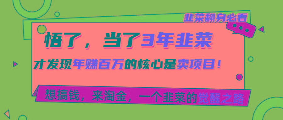 悟了，当了3年韭菜，才发现网赚圈年赚100万的核心是卖项目，含泪分享！-金腾创业