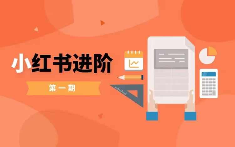 小红书进阶篇，零基础小白实战课，普通人变现的课程-金腾创业