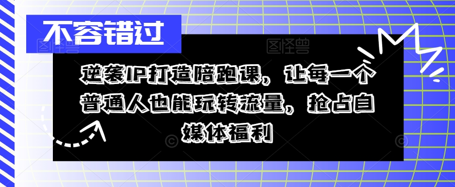 逆袭IP打造陪跑课，让每一个普通人也能玩转流量，抢占自媒体福利-金腾创业