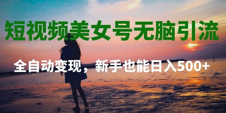 短视频美女号无脑引流，全自动变现，新手也能日入500+-金腾创业