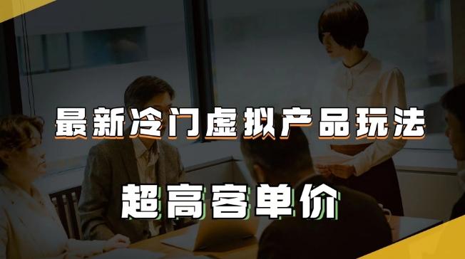 最新冷门虚拟产品玩法，超高客单价，月入2-3万＋【揭秘】-金腾创业