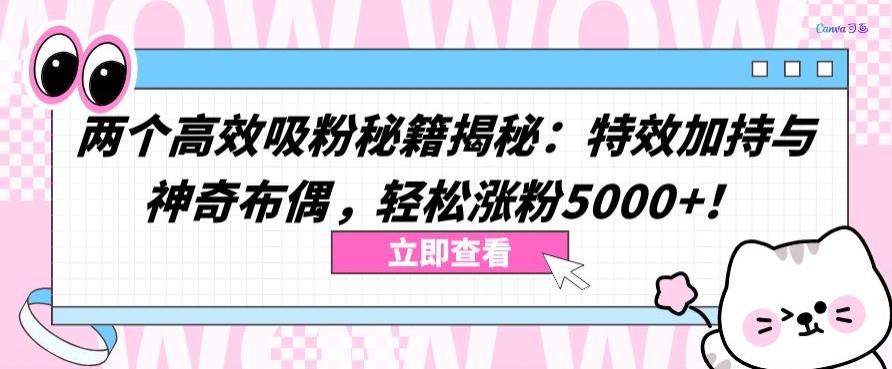 两个高效吸粉秘籍揭秘：特效加持与神奇布偶，轻松涨粉5000+【揭秘】-金腾创业