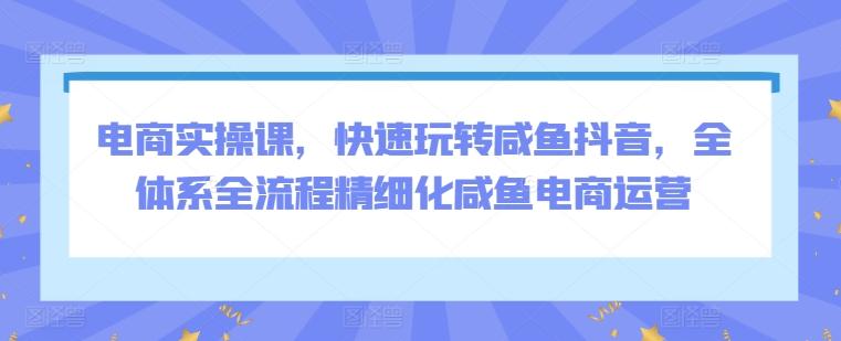 电商实操课，快速玩转咸鱼抖音，全体系全流程精细化咸鱼电商运营-金腾创业
