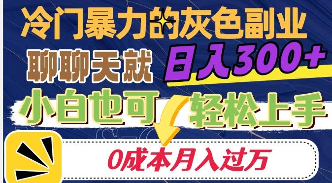 冷门暴利的副业项目，聊聊天就能日入300+，0成本月入过万【揭秘】-金腾创业