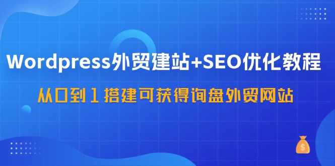WordPress外贸建站+SEO优化教程，从0到1搭建可获得询盘外贸网站(57节课)-金腾创业