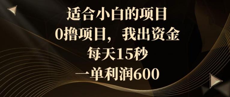 适合小白的项目，0撸项目，我出资金，每天15秒，一单利润600-金腾创业