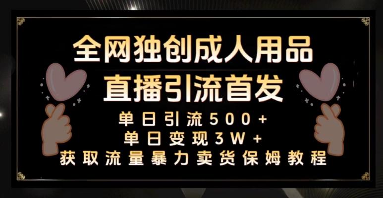 全网独创真人主播+无人直播单日引流500+，橙人用品暴力卖货单日变现3W+保姆似教学2.0【揭秘】-金腾创业