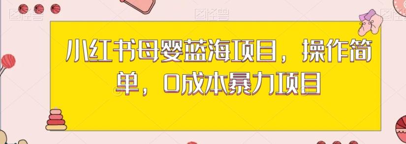 小红书母婴蓝海项目，操作简单，0成本暴力项目-金腾创业