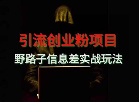 【引流创业粉】野路子信息差玩法实战教学-金腾创业