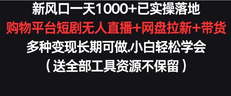 新风口一天1000+已实操落地购物平台短剧无人直播+网盘拉新+带货多种变现长期可做【揭秘】-金腾创业