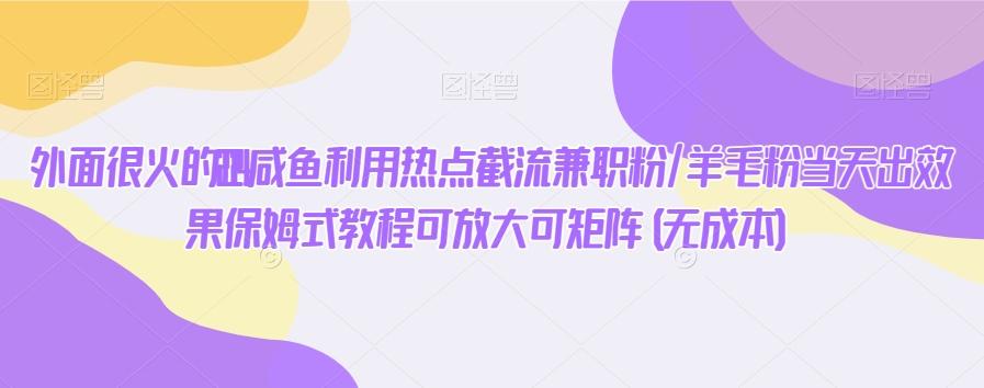 外面很火的2024咸鱼利用热点截流兼职粉/羊毛粉当天出效果保姆式教程可放大可矩阵(无成本)-金腾创业