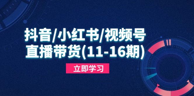 抖音/小红书/视频号/直播带货(11-16期)，快速掌握平台规则，打造爆款内容