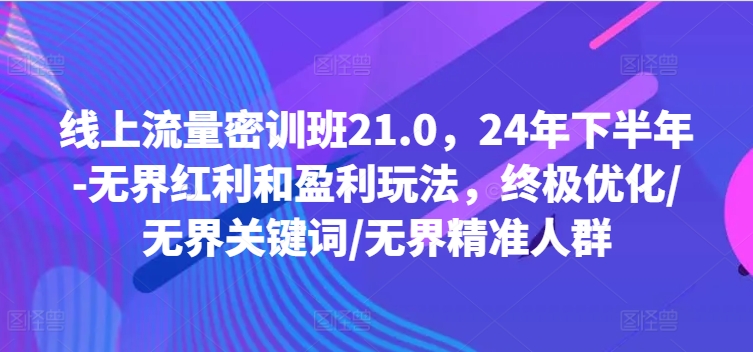 线上流量密训班21.0，24年下半年-无界红利和盈利玩法，终极优化/无界关键词/无界精准人群-金腾创业