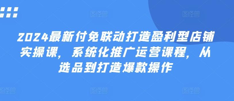 2024最新付免联动打造盈利型店铺实操课，​系统化推广运营课程，从选品到打造爆款操作-金腾创业