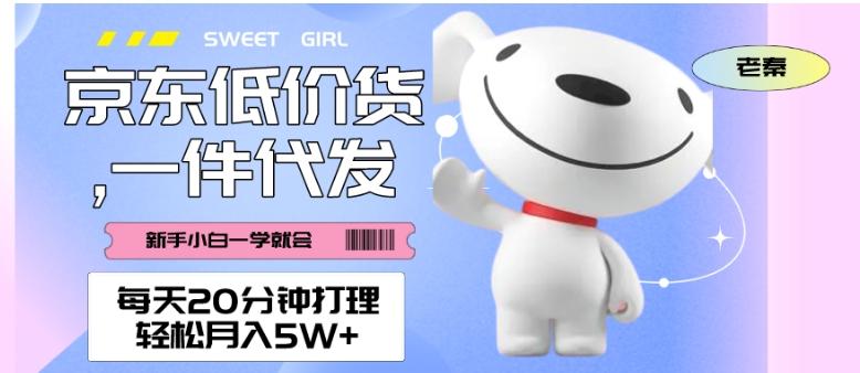 每天20分钟打理京东低价货，一件代发-轻松月入5W＋-金腾创业