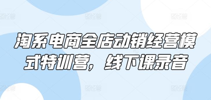淘系电商全店动销经营模式特训营，线下课录音-金腾创业