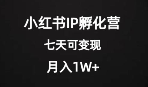 价值2000+的小红书IP孵化营项目，超级大蓝海，七天即可开始变现，稳定月入1W+-金腾创业