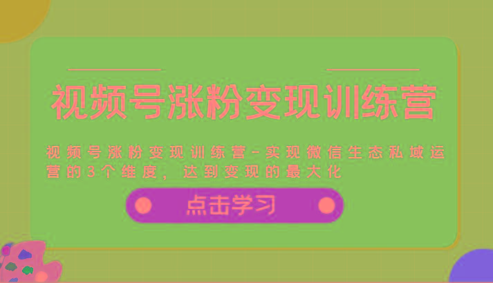 视频号涨粉变现训练营-实现微信生态私域运营的3个维度，达到变现的最大化-金腾创业