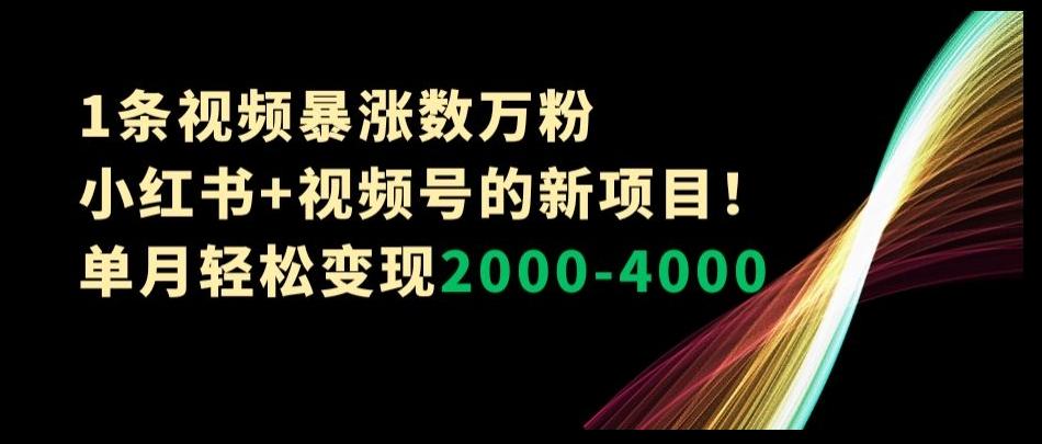 1条视频暴涨数万粉–小红书+视频号的新项目！单月轻松变现2000-4000【揭秘】-金腾创业