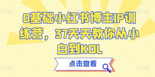 0基础小红书博主IP训练营，37天天教你从小白到KOL-金腾创业