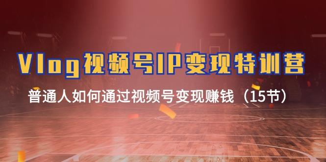 Vlog 视频号IP变现特训营，普通人如何通过视频号变现赚钱(15节-金腾创业