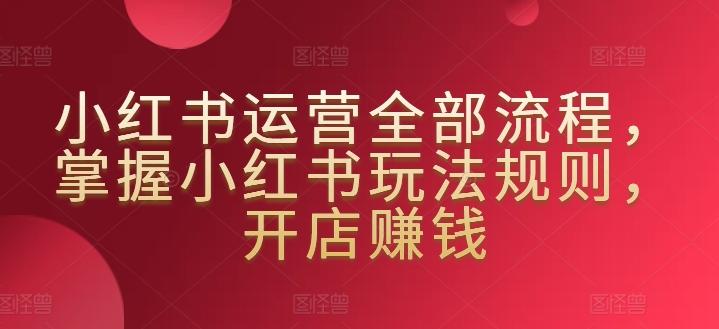 小红书运营全部流程，掌握小红书玩法规则，开店赚钱-金腾创业
