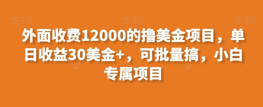 外面收费12000的撸美金项目，单日收益30美金+，可批量搞，小白专属项目-金腾创业