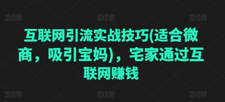 互联网引流实战技巧(适合微商，吸引宝妈)，宅家通过互联网赚钱-金腾创业
